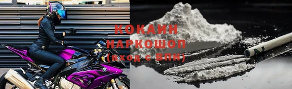 дживик Козельск