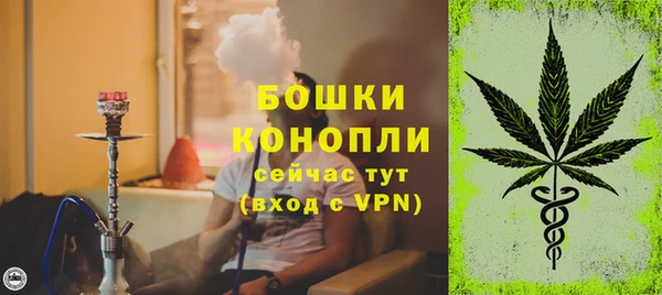 стафф Коряжма