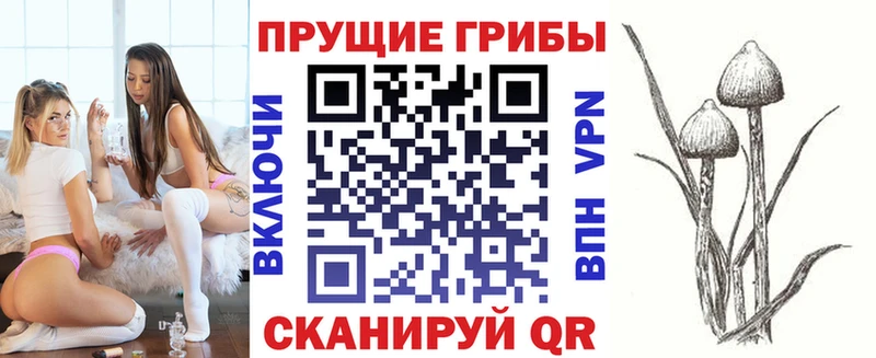 Псилоцибиновые грибы Psilocybe  Купить закладки  Белозерск 